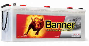 Banner Buffalo Bull 150 Ah