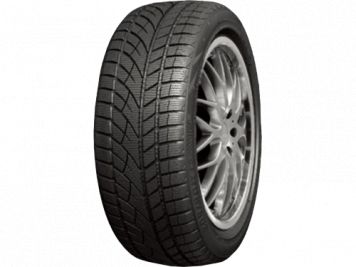 RoadX RXFROST WU01 205/50R17 89V