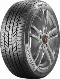 Continental WinterContact TS 870 P 195/60R18 96H XL FR