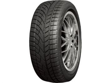 RoadX RX Frost WU01 215/55R17 94V